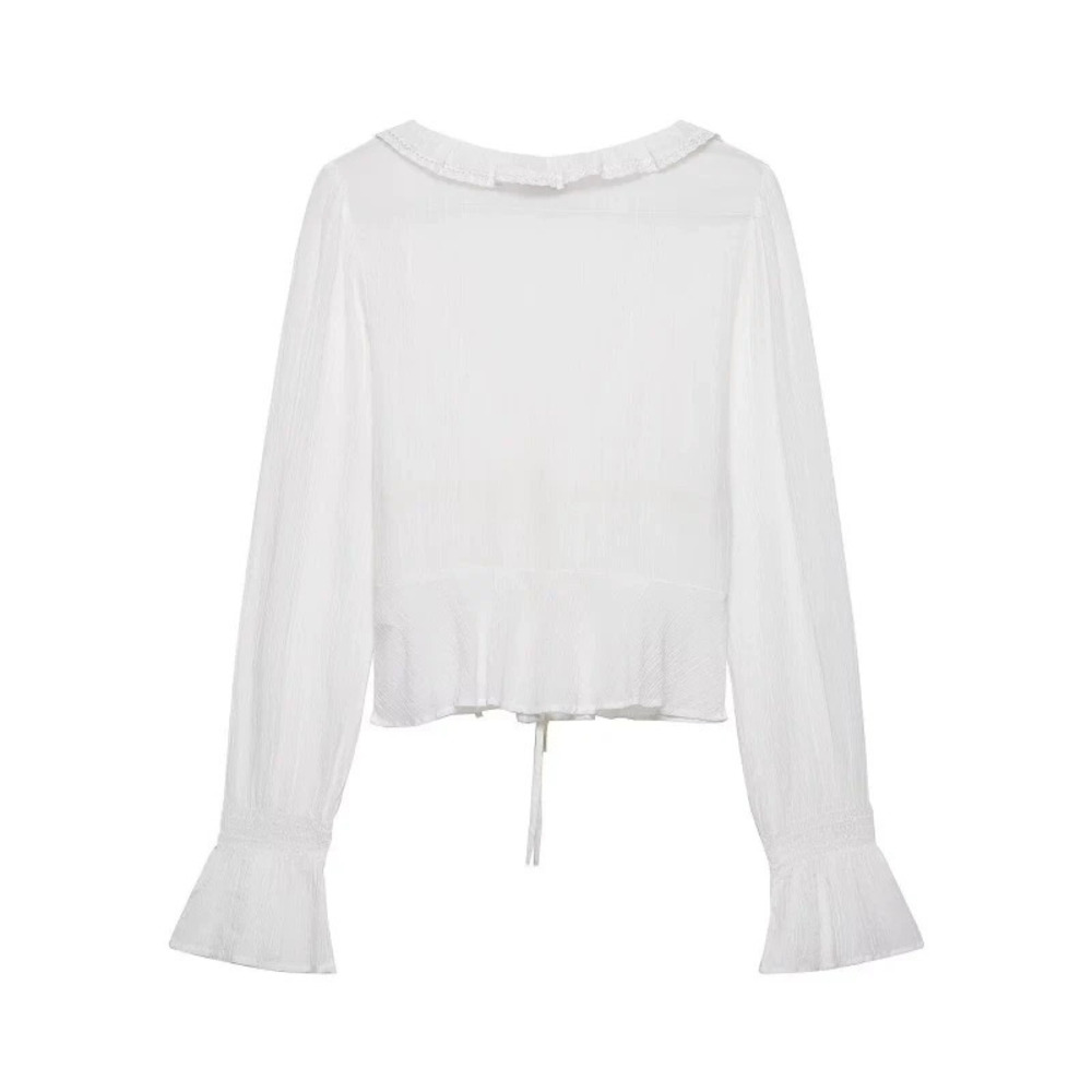 ZARA Embroidered Sheer Collar Layered Blouse